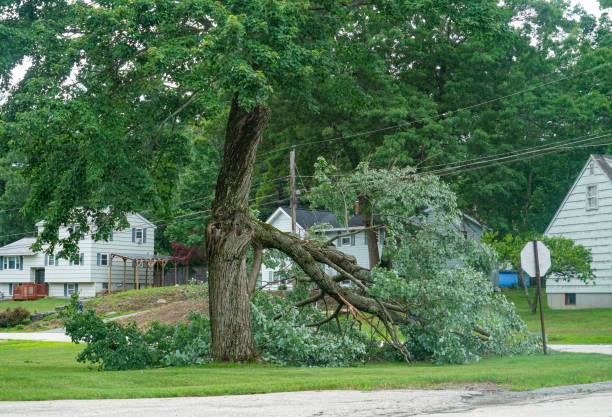 Mulching Services in Parrish, AL